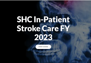 SHC In-Patient Stroke Care FY 2023 - Online Banner